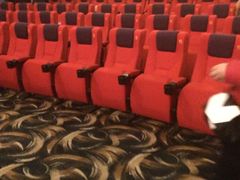 -武汉华夏国际影城(鲁广店)