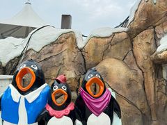 -海合安成都极地海洋公园