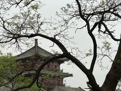 -龙泉寺