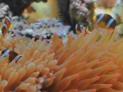 -常州海昌海洋探索馆