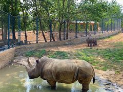 -大连森林动物园