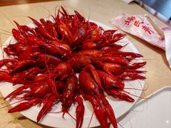 -杨氏青龙虾·羊蝎子(珠江路店)