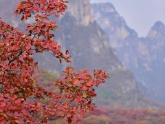 -周口店坡峰岭风景区