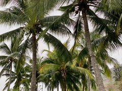 -三亚南山文化旅游区