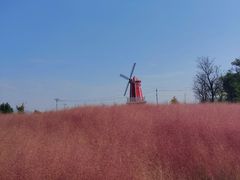 -羊亭河湿地公园