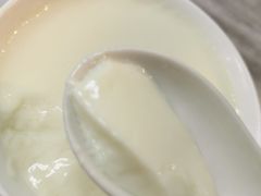 正宗姜撞奶-沙湾姜撞奶甜品店(昌岗中路店)