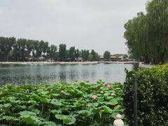 -后海公园