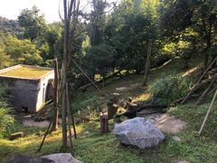 -都江堰中华大熊猫苑