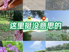 -翠湖国家城市湿地公园