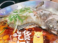 老虎斑-盒马鲜生(曜一城店)