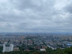 -杭州半山国家森林公园