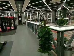 -金吉鸟健身游泳