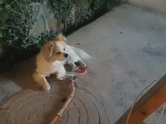 -梨木台悦来客农家院