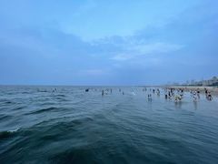 -烟台金沙滩海滨公园