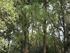 -苏州河梦清园环保主题公园