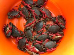 -蚝乡农庄(铁涌赤岸店)