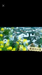 -麦粒鸟亲子游