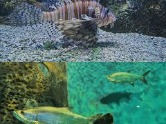-大连老虎滩海洋公园
