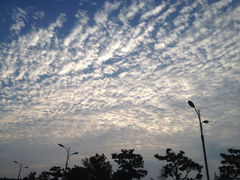 iphone_upload_pic-青岛西海岸隆和福朋喜来登酒店