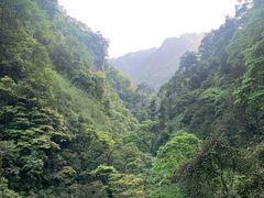 -峨眉山风景名胜区