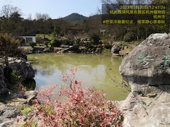 -杭州植物园