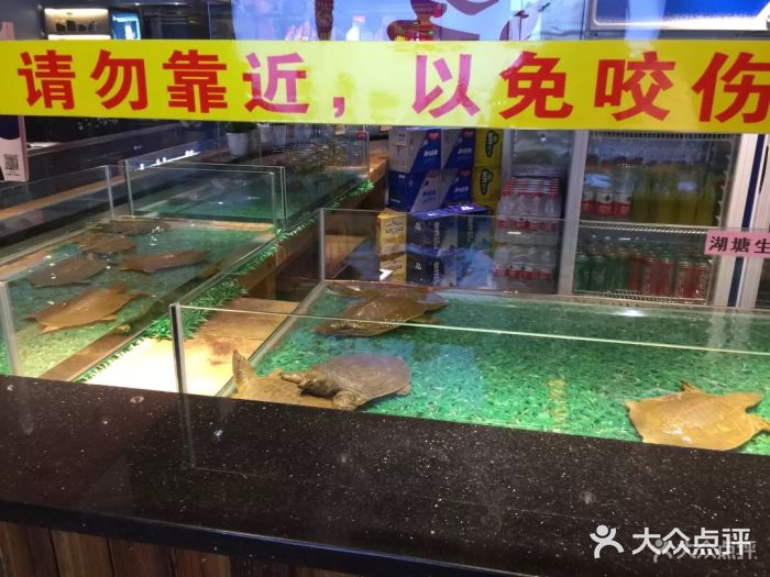 洪湘记川湘·甲鱼馆(四海凯悦美食广场店)图片