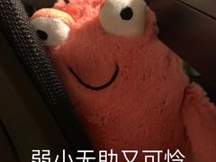 -日本料理神拉面