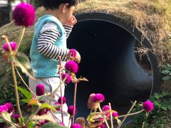 -前小桔亲子创意农场·草莓采摘·露营烧烤