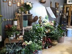 -花到家(富贵鸟花艺行)