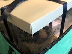 -EnergyCake蛋糕理想国