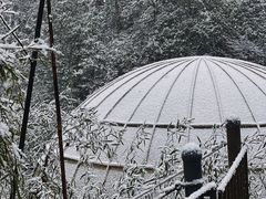 -龙苍沟森林公园