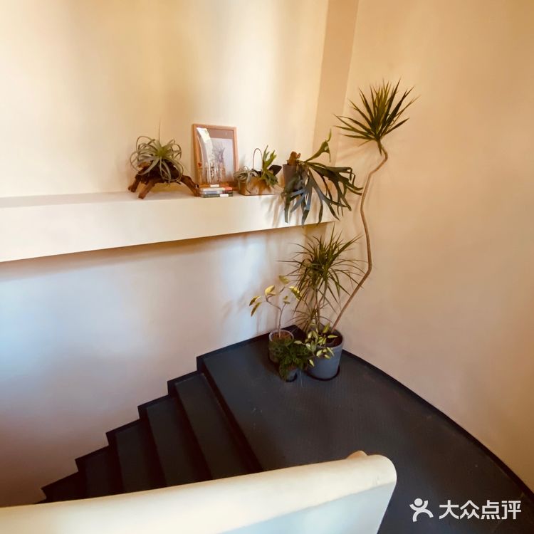 #魔都衡山路秋天最佳拍照打开卡地