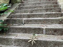 -崂山巨峰游览区