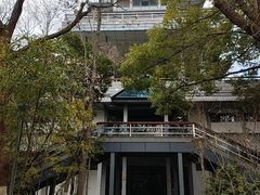 -金鸡湖桃花岛