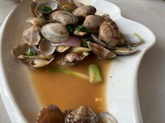 葱姜炒花蛤-华盛丰温州大排档(东三环南路店)