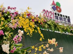 -深圳仙湖植物园