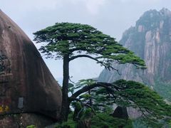 -黄山风景区