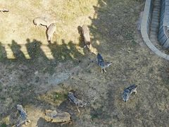 -鄂尔多斯野生动物园