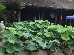 -宝光寺