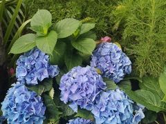 -人民公园(罗湖区)