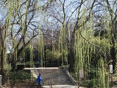 -元大都城垣遗址公园