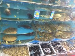 -008海鲜排档(朱家尖2号店)