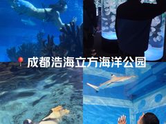 -成都浩海立方海洋公园