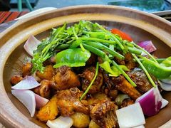 啫啫清远鸡煲-沙胆彪炭炉牛杂煲(成都玉林店)