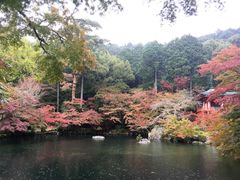 -醍醐寺