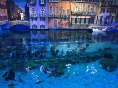 -华夏文旅西安度假区