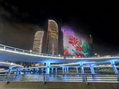 -演武大桥观景平台