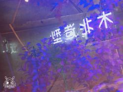 -木北造型
