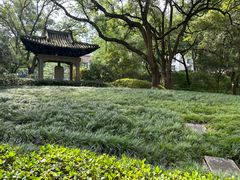 -杭州花家山庄
