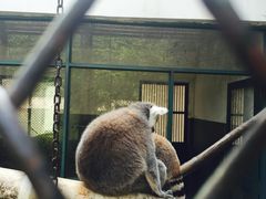 -合肥野生动物园